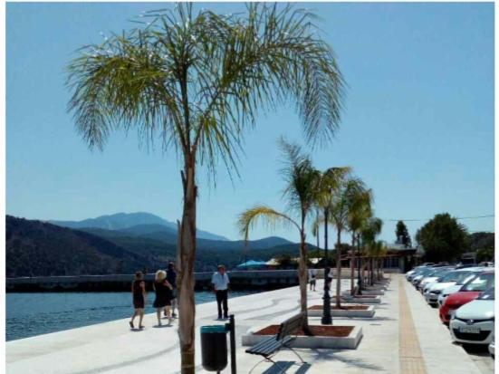 Elektra'S Apartment Central With Parking Argostoli  Zewnętrze zdjęcie